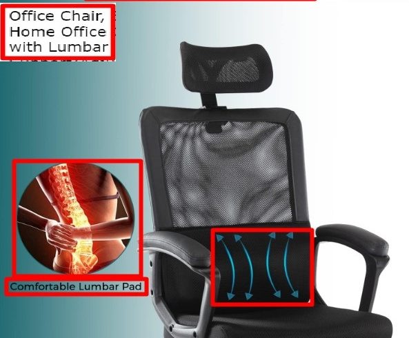 Smug Office chair Lumbar