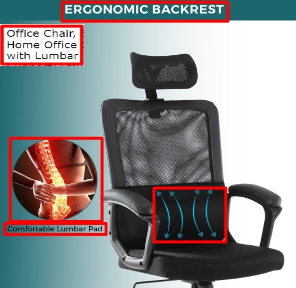 Smug Office chair Lumbar